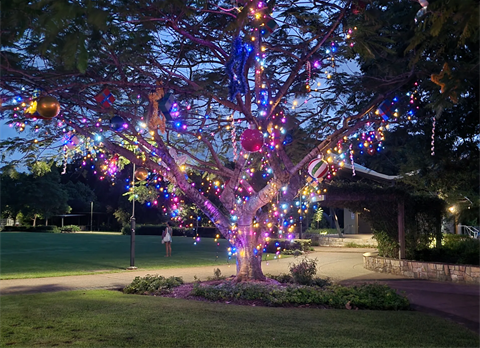 Christmas in the Park.png