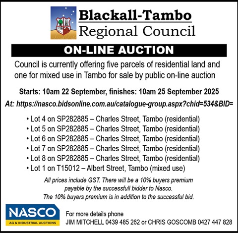 Auction land in tambo.jpg